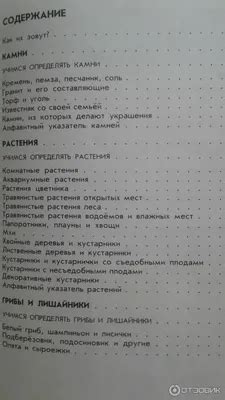 Погрузитесь в мир природы и спокойствия