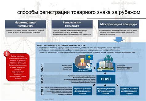 Подача заявки на товарный знак