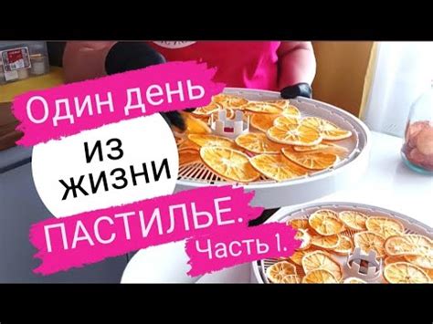 Подача и хранение морковной пастилы