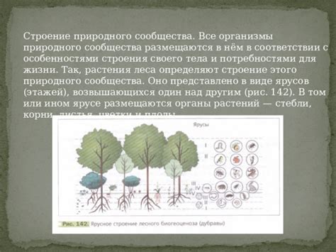 Подбор аксессуаров в соответствии с особенностями растений