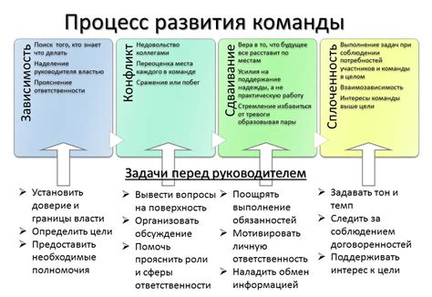 Подбор и развитие участников команды