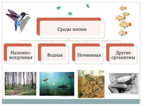 Подбор места для обитания