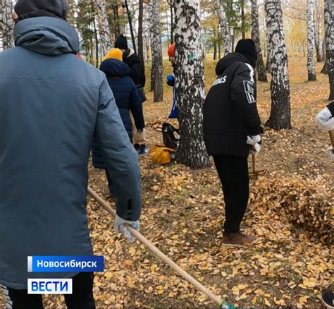 Подверженность к холоду и ветру