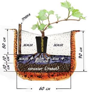 Подготовка грунта для посадки винограда
