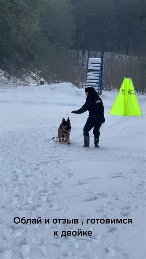 Подготовка и обзор