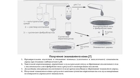 Подготовка и соединение компонентов