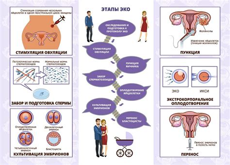 Подготовка к ЭКО: что нужно знать