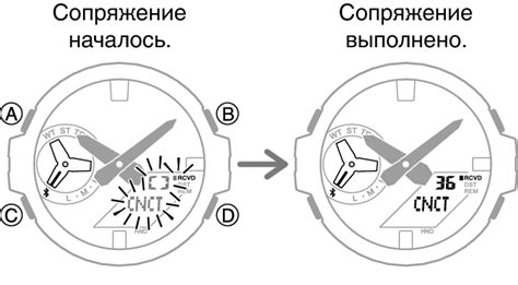 Подготовка к настройке Casio фишинг гир