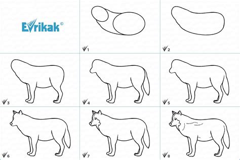 Подготовка к рисованию волка арт