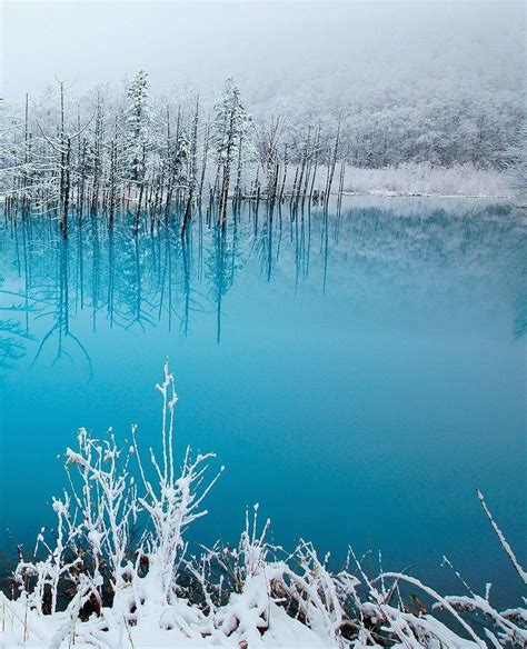 Подготовка к рисованию вязаных вещей акварелью