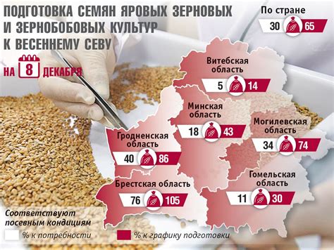 Подготовка к севу семян гвоздики