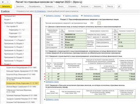 Подготовка к составлению РСВ отчета