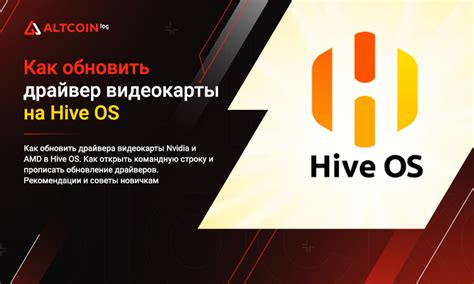 Подготовка к установке старого драйвера Nvidia в Hive OS