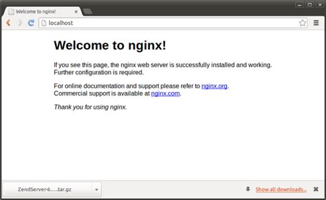 Подготовка к установке Nginx