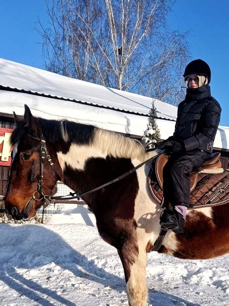 Подготовка лошади к построению седла