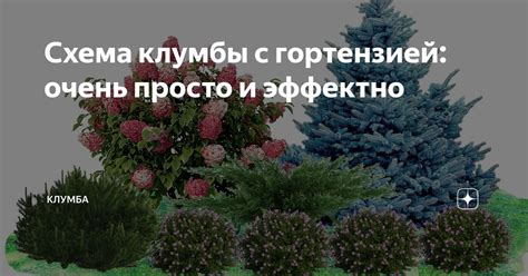 Подготовка почвы для клумбы с гортензией