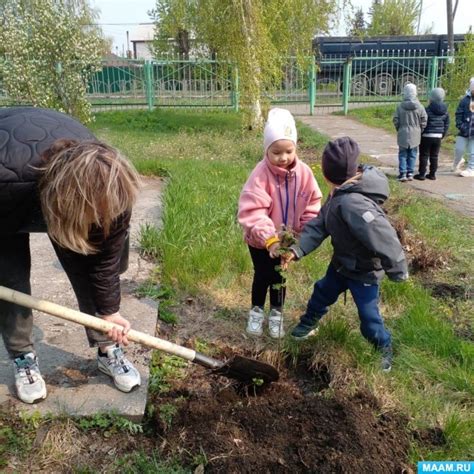 Подготовка почвы и посадка рябины