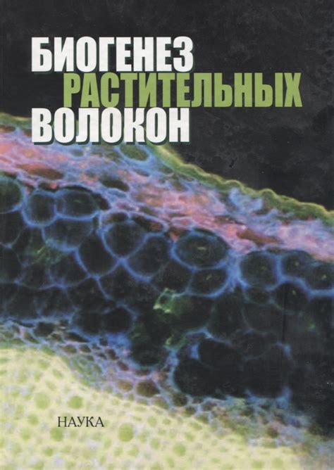 Подготовка растительных волокон для процесса бумагопроизводства