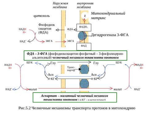 Подготовка уловителя цепи и его компонентов