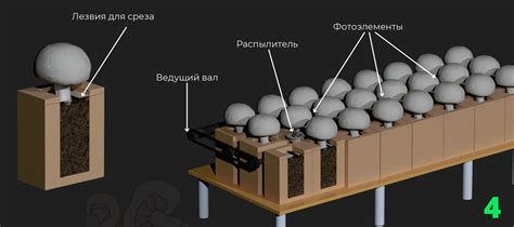 Подготовка участка для грибной фермы