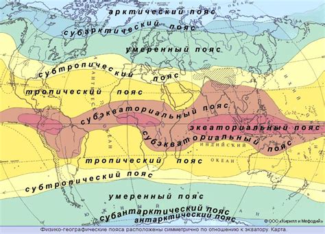 Подготовьте особый климат