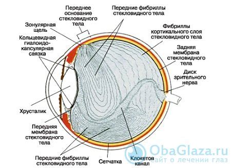 Поддержание глазного контакта