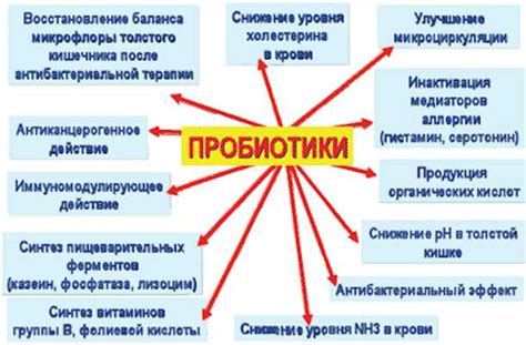 Поддерживайте регулярность