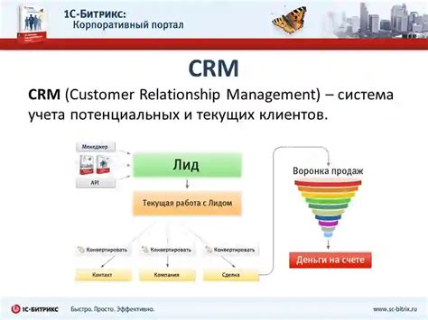 Поддержка и развитие CRM-системы