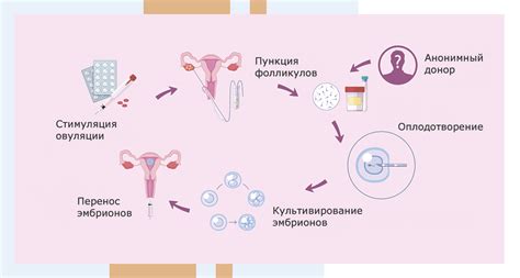 Поддержка и сопровождение эко одиноких женщин