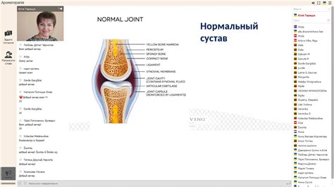 Поддержка опорно-двигательной системы