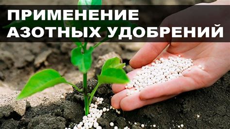 Подкисление грунта с помощью азотных удобрений