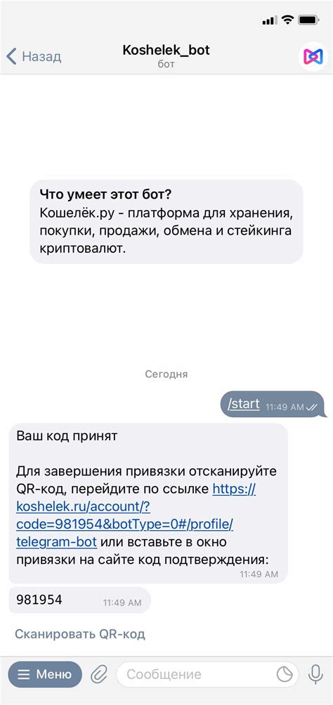 Подключение бота к Telegram API и тестирование