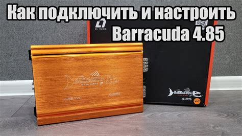 Подключение и настройка усилителя Barracuda 4.100