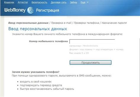 Подключение и настройка Webmoney кошелька на iPhone