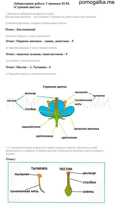 Подключение цветка к распространителю