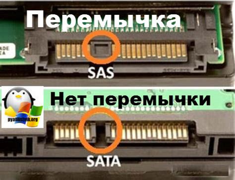 Подключение SAS к SATA: основные моменты