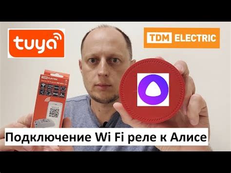 Подключение TDM Wi-Fi реле к Алисе: пошаговое руководство