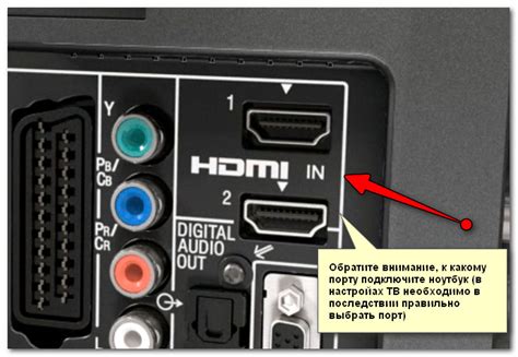 Подключите экко к телевизору через HDMI порт