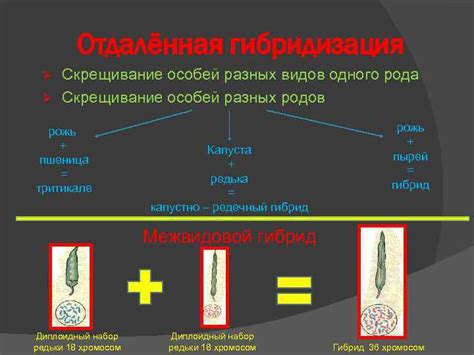 Подобного рода скрещивание