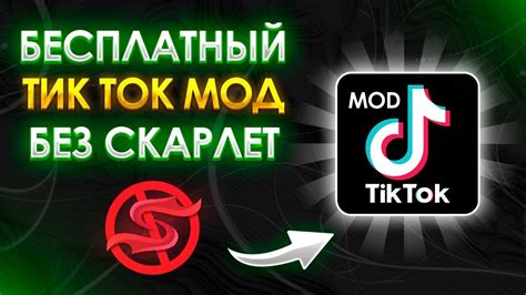 Подписка на Premium-версию Тик Тока