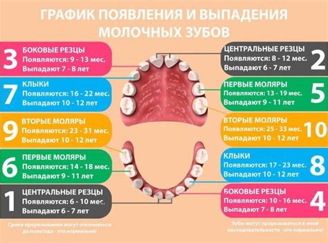 Подрисовываем морду и зубы