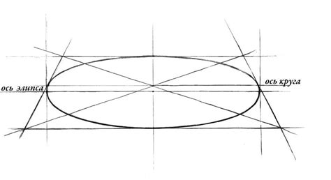 Подробная инструкция: как нарисовать овал
