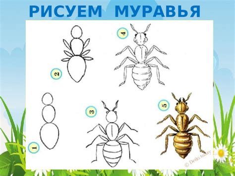 Подробная инструкция: рисуем муравья