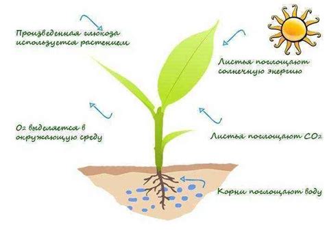 Подробно о процессе активации