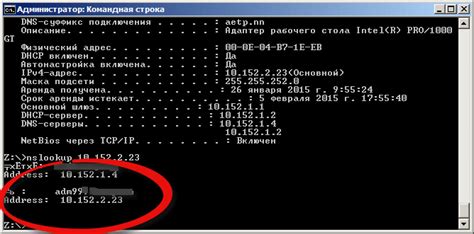 Подробный поиск DNS по IP адресу в Linux