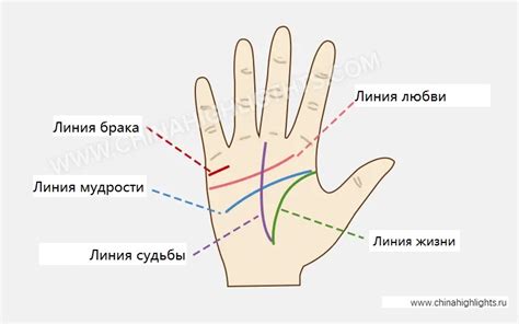 Подсказки от руки: линии, указывающие на интерес к отношениям