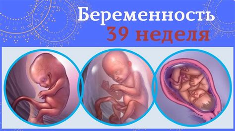 Подтекание воды на 39 неделе беременности: каковы риски и последствия?