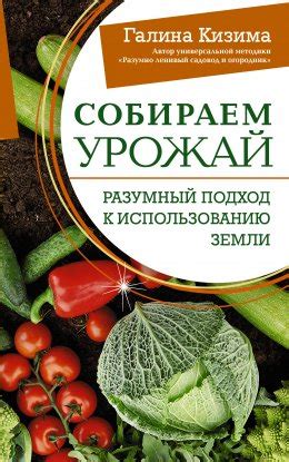 Подход к превращению земли в уникальное пространство