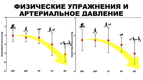 Позитивные эффекты регулярного физического упражнения на артериальное давление