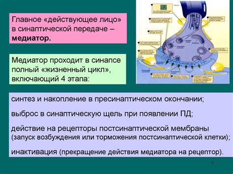 Позиционирование медиатора